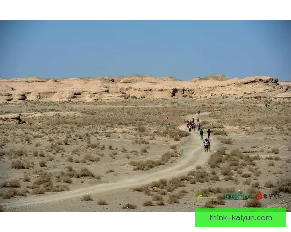 Vini 在 4-3-3 阵型中的表现分析与战术重要性